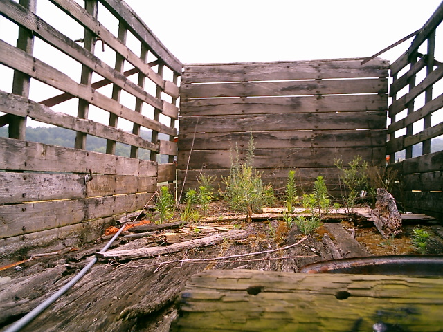 pict0018.jpg
